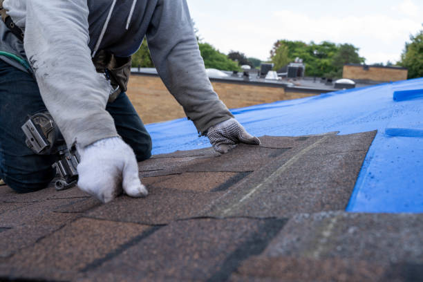 Best Roof Replacement Cost  in Lake Isabella, MI