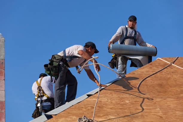 Sealant for Roof in Lake Isabella, MI