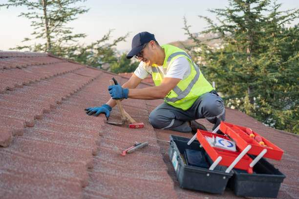 Best Roof Waterproofing Services  in Lake Isabella, MI