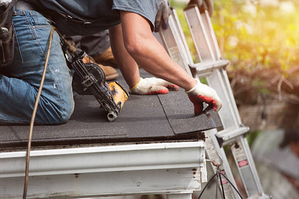 Best Roof Repair Services  in Lake Isabella, MI